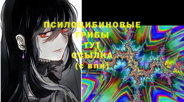 spice Баксан