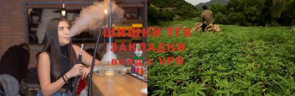 тгк Балахна